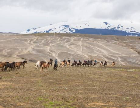 Média réf. 4228 (1/4): Randonnée équestre dans la réserve naturelle de Fjallabak